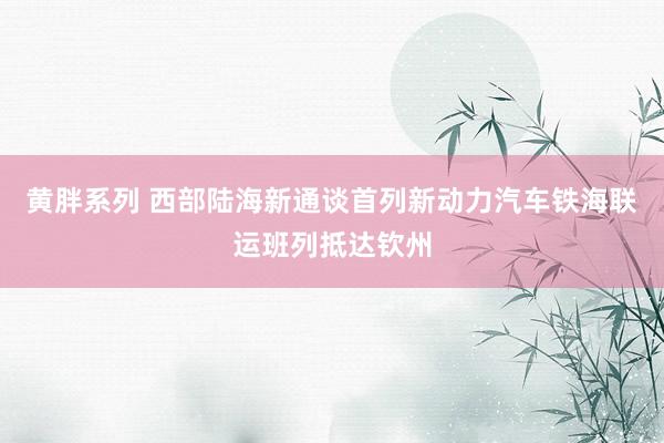黄胖系列 西部陆海新通谈首列新动力汽车铁海联运班列抵达钦州