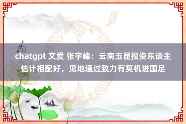 chatgpt 文爱 张宇峰：云南玉昆投资东谈主估计相配好，见地通过致力有契机进国足