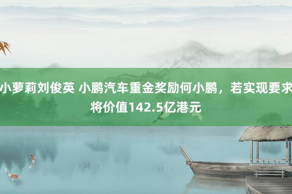 小萝莉刘俊英 小鹏汽车重金奖励何小鹏，若实现要求将价值142.5亿港元