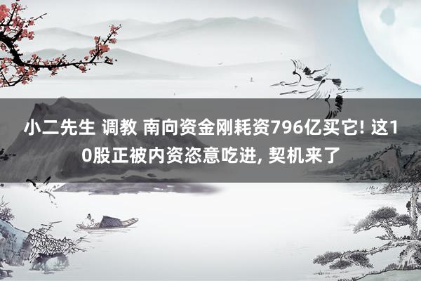 小二先生 调教 南向资金刚耗资796亿买它! 这10股正被内资恣意吃进， 契机来了