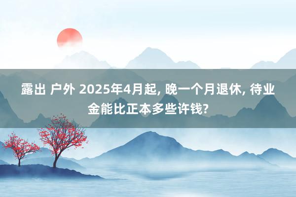 露出 户外 2025年4月起, 晚一个月退休, 待业金能比正本多些许钱?