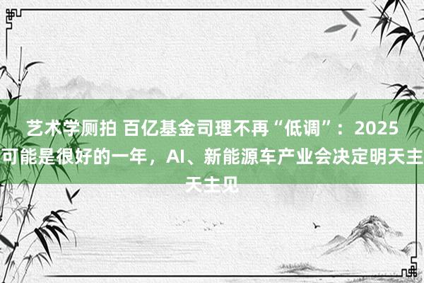 艺术学厕拍 百亿基金司理不再“低调”：2025年可能是很好的一年，AI、新能源车产业会决定明天主见