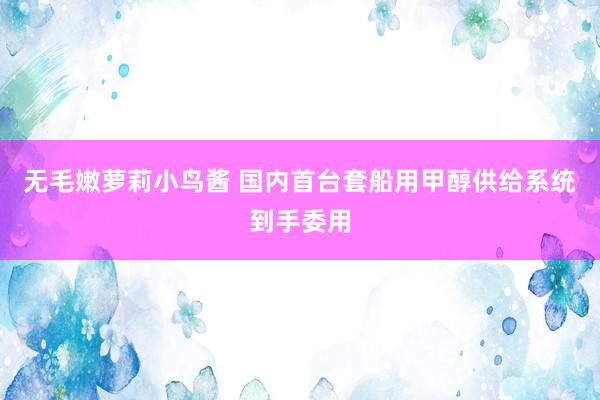 无毛嫩萝莉小鸟酱 国内首台套船用甲醇供给系统到手委用