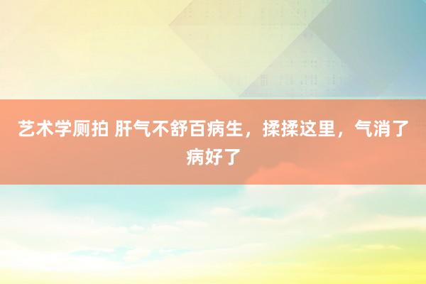 艺术学厕拍 肝气不舒百病生，揉揉这里，气消了病好了