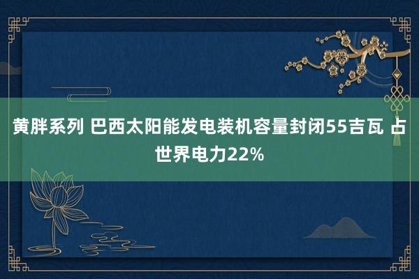 黄胖系列 巴西太阳能发电装机容量封闭55吉瓦 占世界电力22%