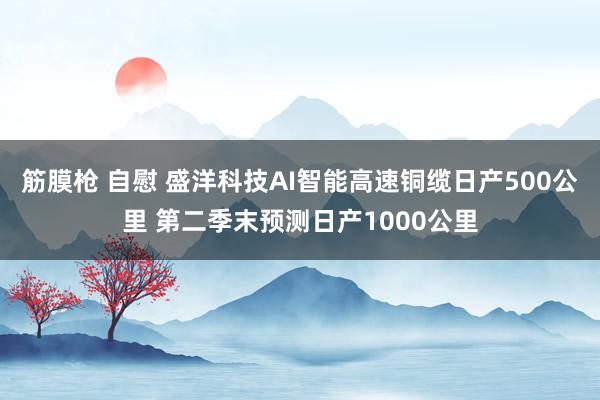 筋膜枪 自慰 盛洋科技AI智能高速铜缆日产500公里 第二季末预测日产1000公里