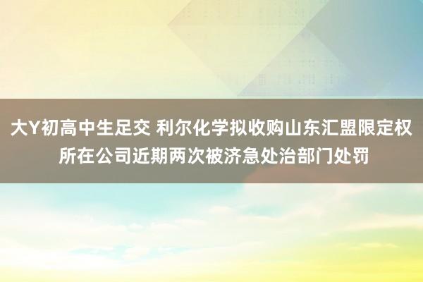 大Y初高中生足交 利尔化学拟收购山东汇盟限定权 所在公司近期两次被济急处治部门处罚