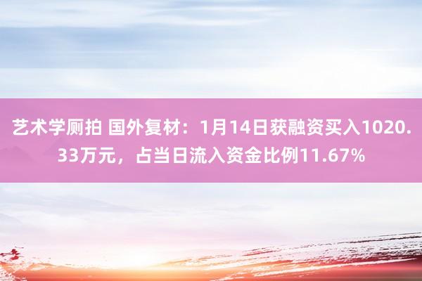 艺术学厕拍 国外复材：1月14日获融资买入1020.33万元，占当日流入资金比例11.67%