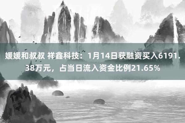 媛媛和叔叔 祥鑫科技：1月14日获融资买入6191.38万元，占当日流入资金比例21.65%