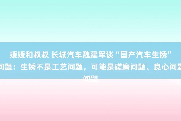 媛媛和叔叔 长城汽车魏建军谈“国产汽车生锈”问题：生锈不是工艺问题，可能是磋磨问题、良心问题