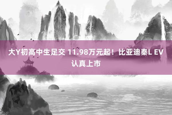 大Y初高中生足交 11.98万元起！比亚迪秦L EV认真上市