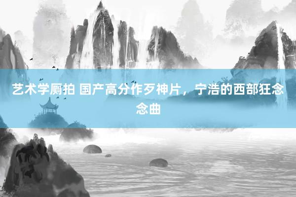 艺术学厕拍 国产高分作歹神片，宁浩的西部狂念念曲
