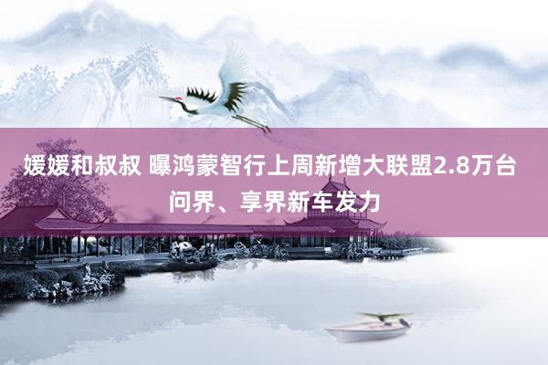媛媛和叔叔 曝鸿蒙智行上周新增大联盟2.8万台 问界、享界新车发力