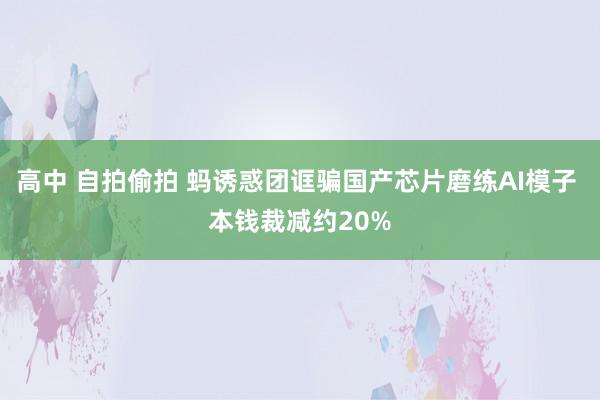 高中 自拍偷拍 蚂诱惑团诓骗国产芯片磨练AI模子 本钱裁减约20%