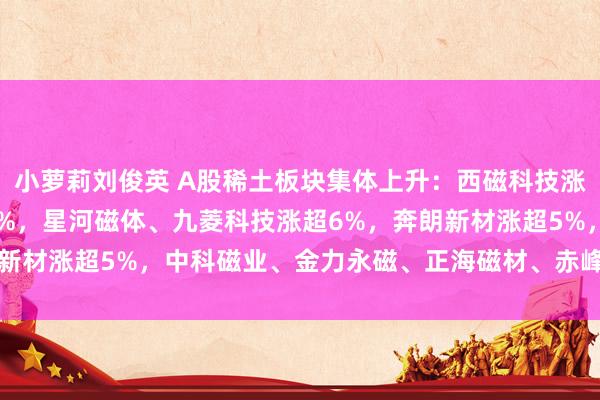小萝莉刘俊英 A股稀土板块集体上升：西磁科技涨超10%，英洛华涨超7%，星河磁体、九菱科技涨超6%，奔朗新材涨超5%，中科磁业、金力永磁、正海磁材、赤峰黄金涨超3%