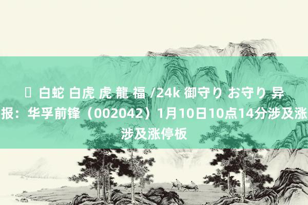 ✨白蛇 白虎 虎 龍 福 /24k 御守り お守り 异动快报：华孚前锋（002042）1月10日10点14分涉及涨停板