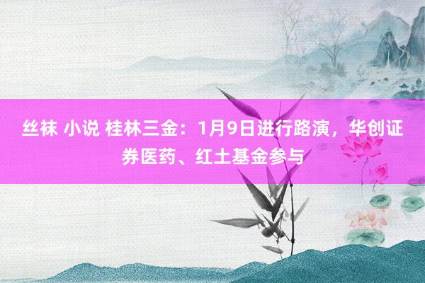 丝袜 小说 桂林三金：1月9日进行路演，华创证券医药、红土基金参与