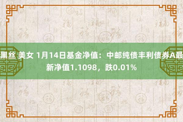 黑丝 美女 1月14日基金净值：中邮纯债丰利债券A最新净值1.1098，跌0.01%