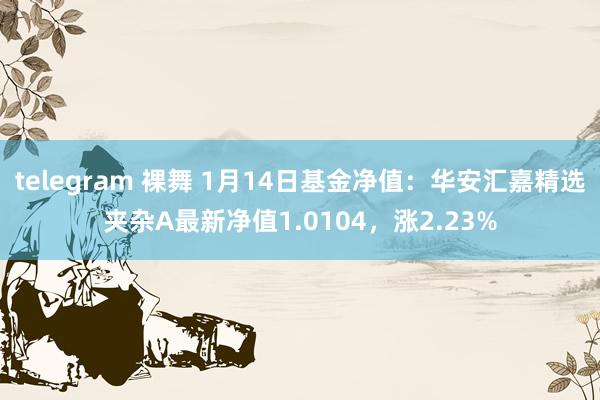 telegram 裸舞 1月14日基金净值：华安汇嘉精选夹杂A最新净值1.0104，涨2.23%