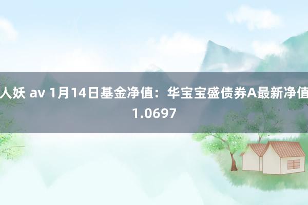 人妖 av 1月14日基金净值：华宝宝盛债券A最新净值1.0697