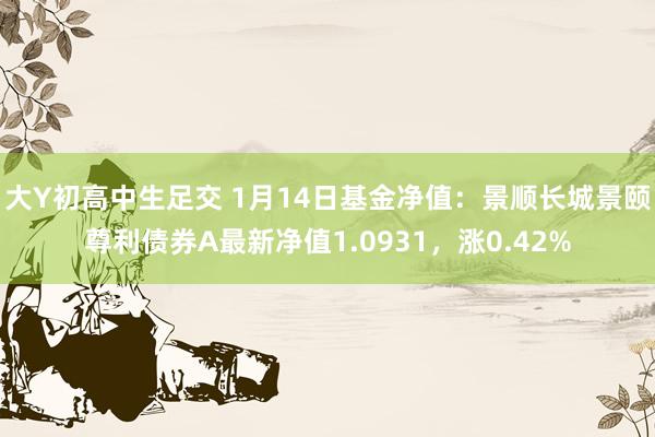 大Y初高中生足交 1月14日基金净值：景顺长城景颐尊利债券A最新净值1.0931，涨0.42%