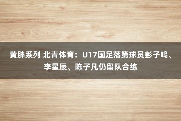 黄胖系列 北青体育：U17国足落第球员彭子鸣、李星辰、陈子凡仍留队合练