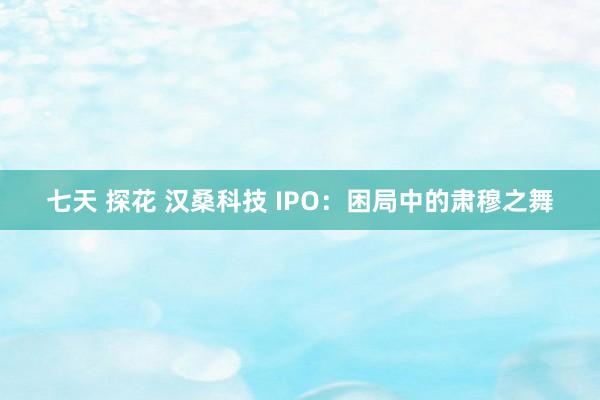 七天 探花 汉桑科技 IPO：困局中的肃穆之舞