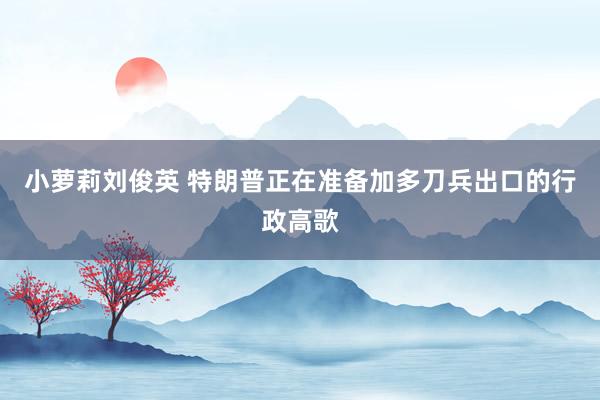 小萝莉刘俊英 特朗普正在准备加多刀兵出口的行政高歌