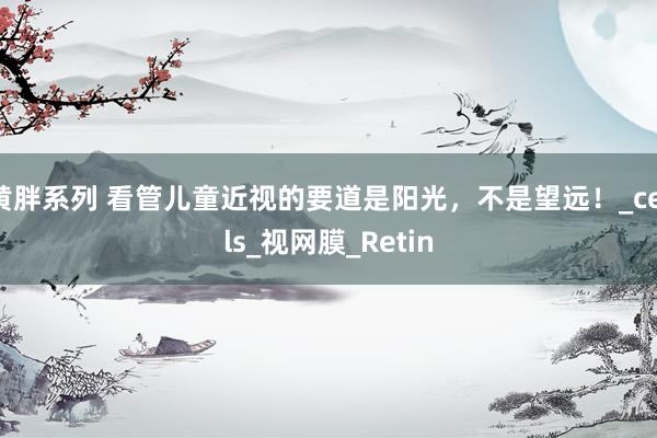 黄胖系列 看管儿童近视的要道是阳光，不是望远！_cells_视网膜_Retin