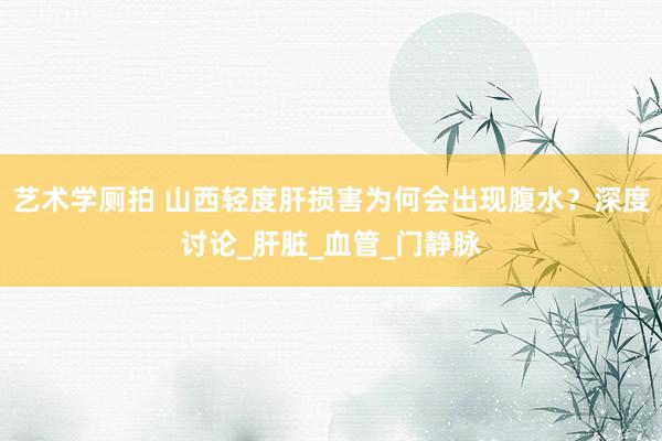 艺术学厕拍 山西轻度肝损害为何会出现腹水？深度讨论_肝脏_血管_门静脉