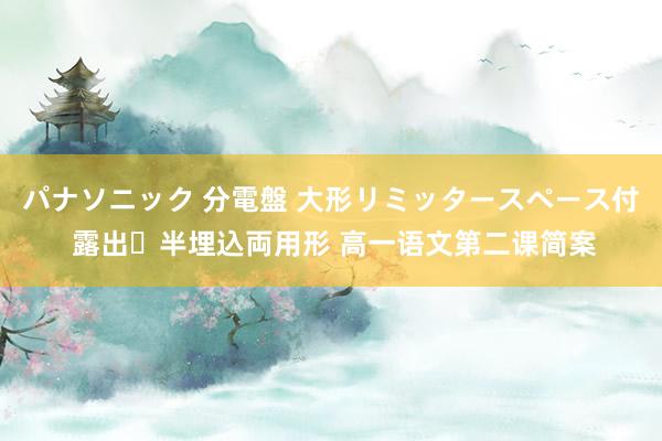 パナソニック 分電盤 大形リミッタースペース付 露出・半埋込両用形 高一语文第二课简案