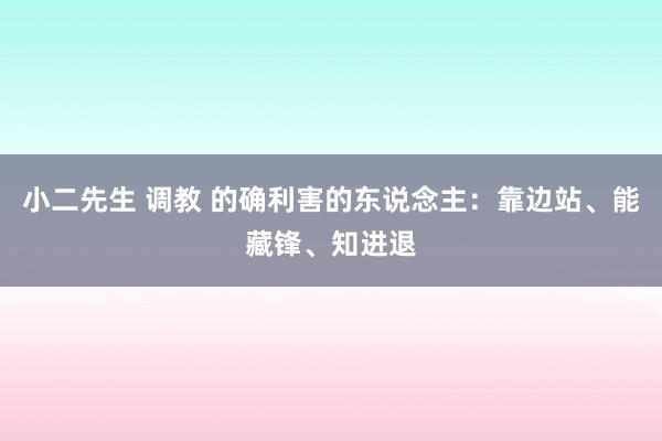 小二先生 调教 的确利害的东说念主：靠边站、能藏锋、知进退