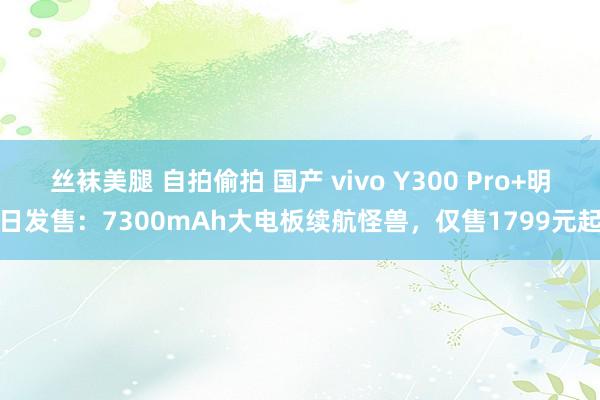 丝袜美腿 自拍偷拍 国产 vivo Y300 Pro+明日发售：7300mAh大电板续航怪兽，仅售1799元起