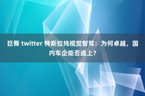 巨臀 twitter 特斯拉纯视觉智驾：为何卓越，国内车企能否追上？