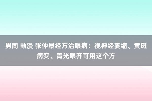 男同 動漫 张仲景经方治眼病：视神经萎缩、黄斑病变、青光眼齐可用这个方