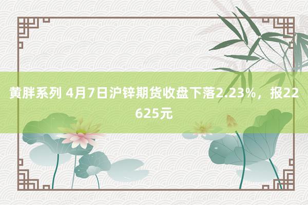 黄胖系列 4月7日沪锌期货收盘下落2.23%，报22625元