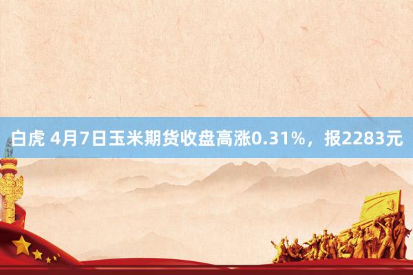 白虎 4月7日玉米期货收盘高涨0.31%，报2283元
