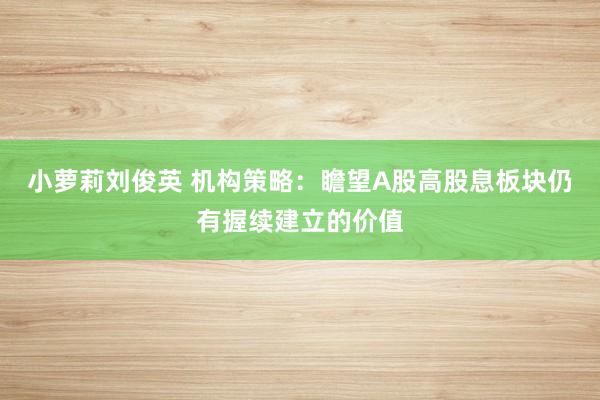 小萝莉刘俊英 机构策略：瞻望A股高股息板块仍有握续建立的价值