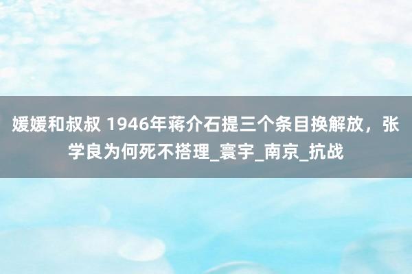 媛媛和叔叔 1946年蒋介石提三个条目换解放，张学良为何死不搭理_寰宇_南京_抗战