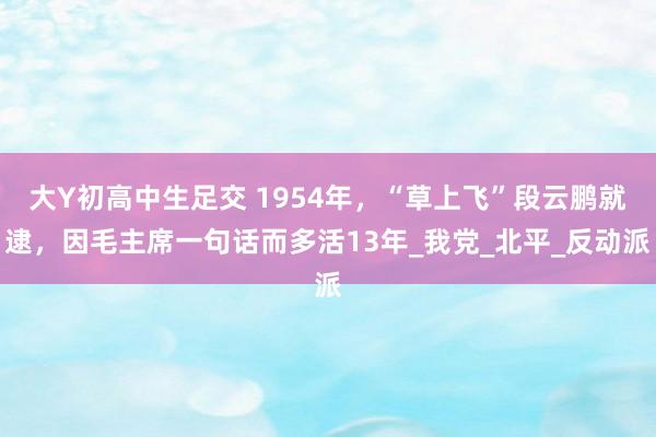 大Y初高中生足交 1954年，“草上飞”段云鹏就逮，因毛主席一句话而多活13年_我党_北平_反动派