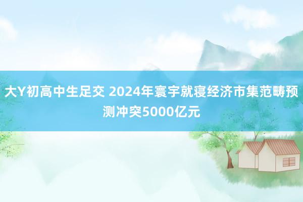 大Y初高中生足交 2024年寰宇就寝经济市集范畴预测冲突5000亿元