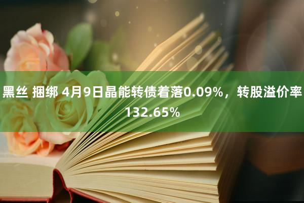 黑丝 捆绑 4月9日晶能转债着落0.09%，转股溢价率132.65%