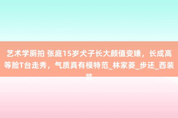 艺术学厕拍 张庭15岁犬子长大颜值变嫌，长成高等脸T台走秀，气质真有模特范_林家菱_步还_西装