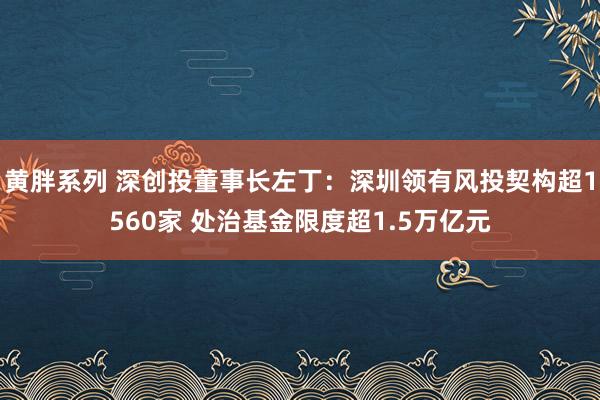 黄胖系列 深创投董事长左丁：深圳领有风投契构超1560家 处治基金限度超1.5万亿元
