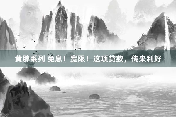 黄胖系列 免息！宽限！这项贷款，传来利好