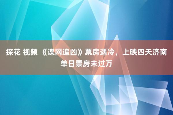 探花 视频 《谍网追凶》票房遇冷，上映四天济南单日票房未过万