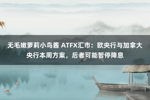 无毛嫩萝莉小鸟酱 ATFX汇市：欧央行与加拿大央行本周方案，后者可能暂停降息