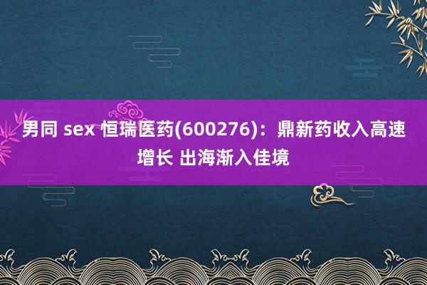 男同 sex 恒瑞医药(600276)：鼎新药收入高速增长 出海渐入佳境
