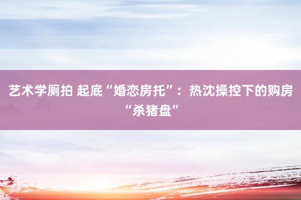 艺术学厕拍 起底“婚恋房托”：热沈操控下的购房“杀猪盘”