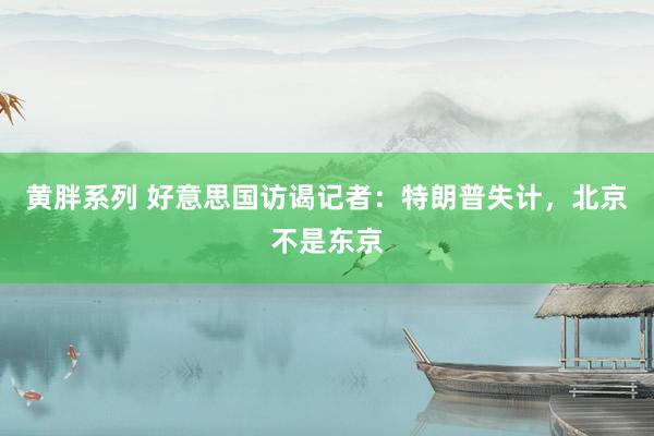 黄胖系列 好意思国访谒记者：特朗普失计，北京不是东京